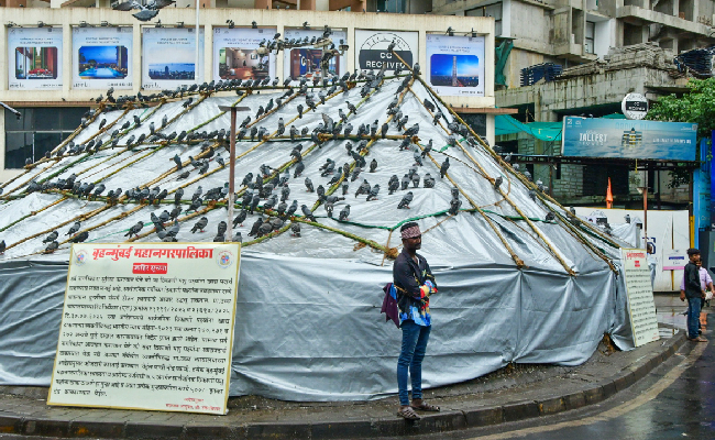 Protesters remove tarpaulin from 'kabutarkhana' in Mumbai; minister condemns act